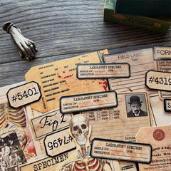 Anatomy Ephemera Set