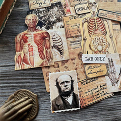 Anatomy Ephemera Set