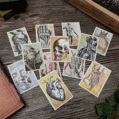 Anatomy Stickers