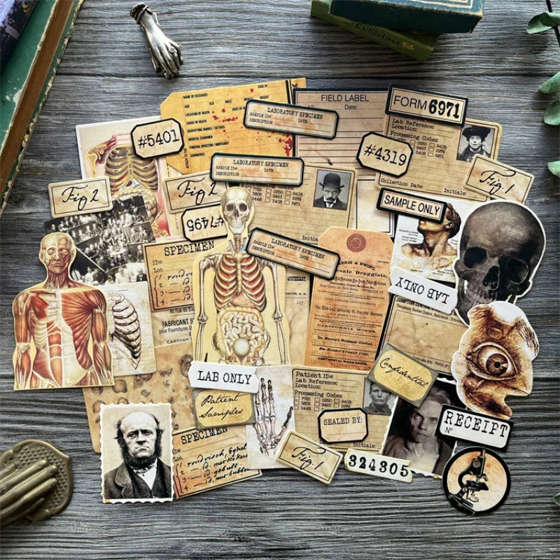 Anatomy Ephemera Set