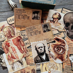 Anatomy Ephemera Set