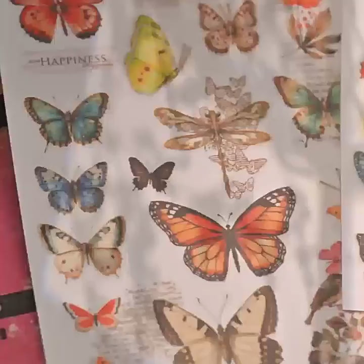 Butterfly Rub-Ons